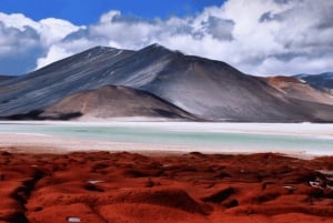 Excursión Triple: Piedras Rojas, Lagunas del Altiplano y Laguna Chaxa