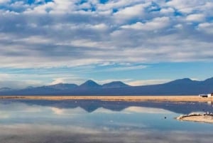 Excursión Triple: Piedras Rojas, Lagunas del Altiplano y Laguna Chaxa