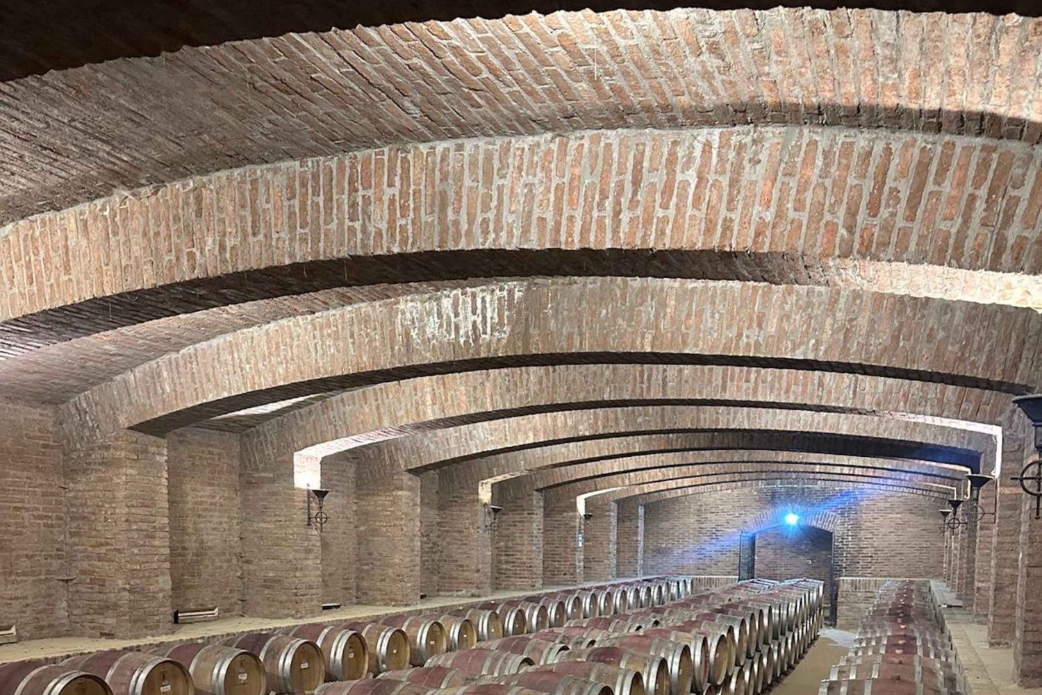 Undurraga + Isla Negra + San Afonso del Mar ----- Hela dagen