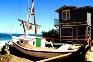 Undurraga + Isla Negra + San Afonso del Mar ----- Hela dagen