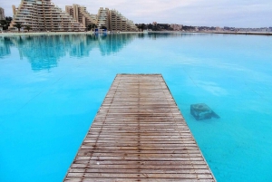 Undurraga + Isla Negra + San Afonso del Mar ----- Hela dagen