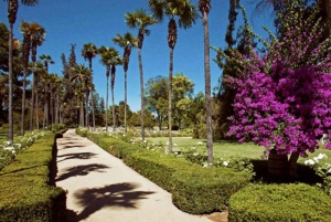 Undurraga: Official Winery Tour