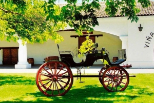 Undurraga: Official Winery Tour