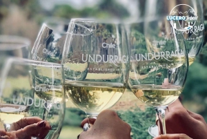 Undurraga Vineyard