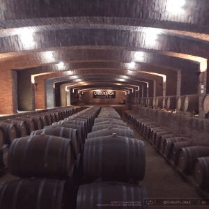 Best wine tours close to Santiago de Chile