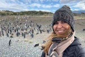 Ushuaia: Beagle Channel Boat Tour and Penguin Experience