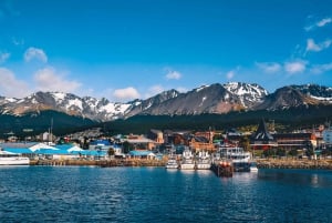 Ushuaia Exploration: 4-Day Adventure at the End of the World