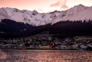 Ushuaia Explorer: Avventura di 4 giorni alla fine del mondo