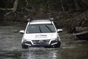 Ushuaia Explorer: 4-дневное приключение на краю света