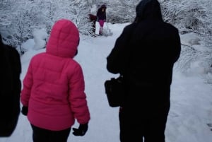 USHUAIA | Full Day Snow