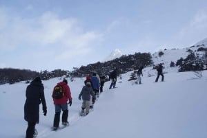 USHUAIA | Full Day Snow