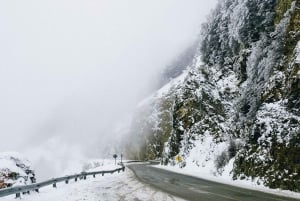 USHUAIA | Full Day Snow
