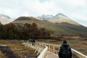 Ushuaia: Guidad vandring i Laguna Esmeralda med lunchlåda