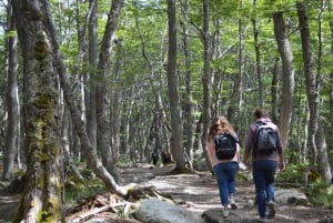 Ushuaia: Laguna Esmeralda Guidet vandring med lunsjboks