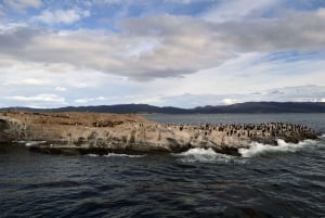 Ushuaia: Parque Nacional, Tren y Navegación por el Canal de Beagle