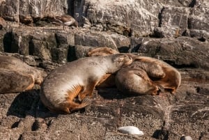 Ushuaia: Parque Nacional, Tren y Navegación por el Canal de Beagle