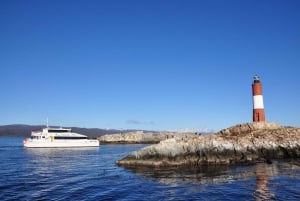 Ushuaia: Penguin Watching Tour by Catamaran