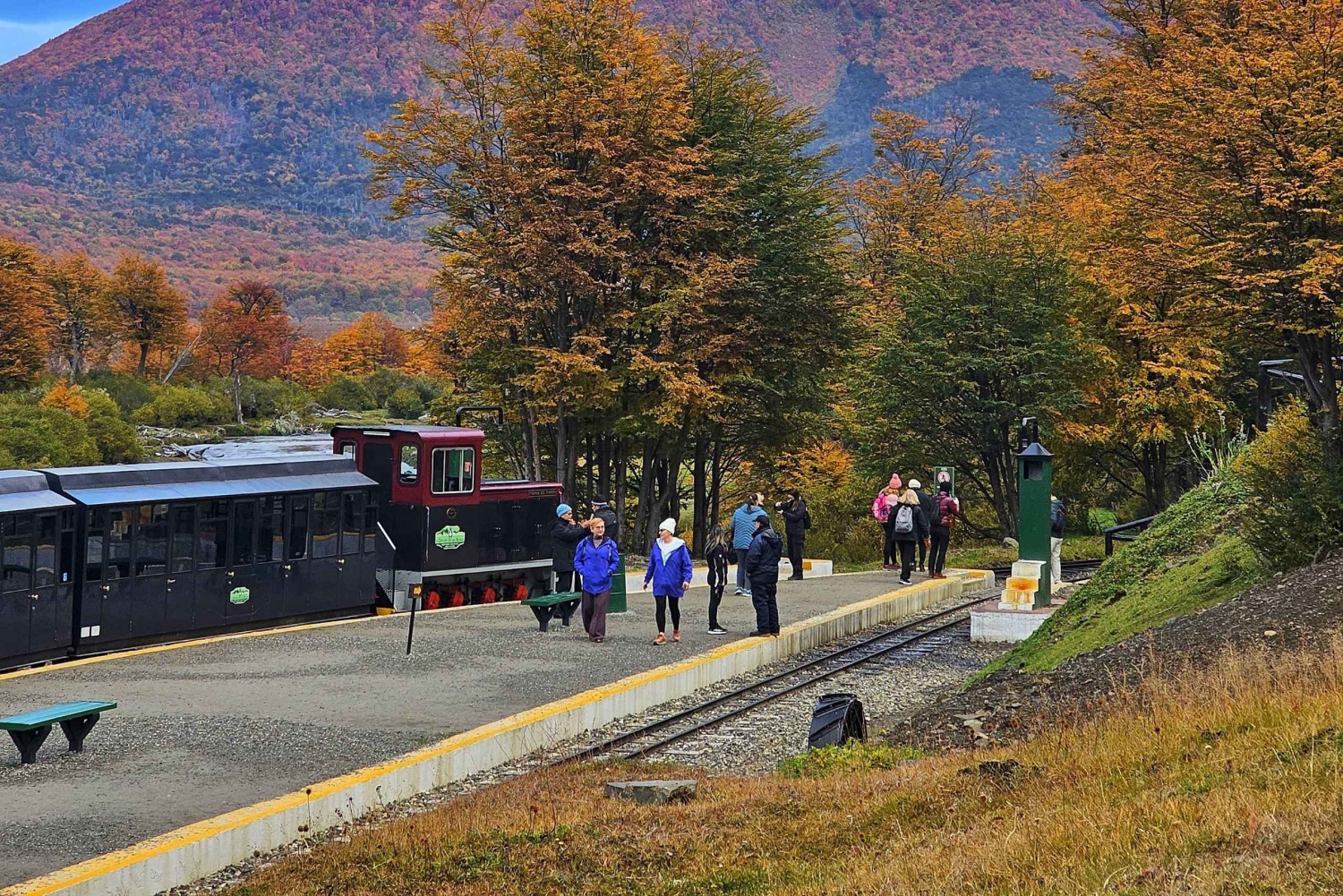 Ushuaia: Tierra del Fuego National Park Shore Excursion