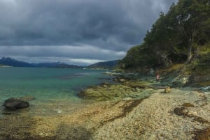 Ushuaia: Tierra del Fuego National Park Tour with Lunch