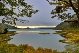 Ushuaia: Tierra del Fuego National Park Tour with Lunch