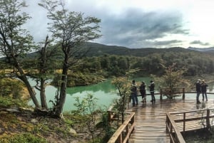 Ushuaia: Tierra del Fuego National Park Tour with Lunch