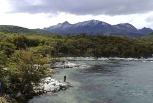 Ushuaia: Tierra del Fuego National Park Tour with Lunch