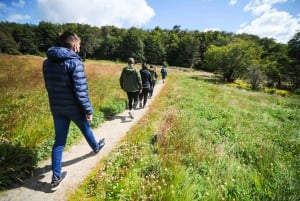 Ushuaia: Tierra del Fuego National Park Tour with Lunch