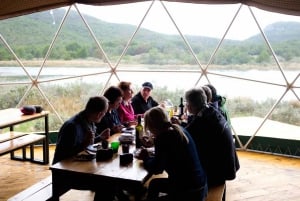 Ushuaia: Tierra del Fuego National Park Tour with Lunch