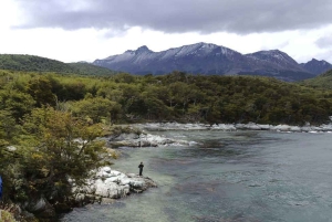 Ushuaia: Tour del Parco Nazionale della Terra del Fuoco con pranzo