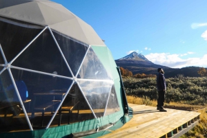 Ushuaia: Tour del Parco Nazionale della Terra del Fuoco con pranzo