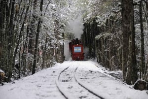 Ushuaia: Tierra del Fuego National Park Tour