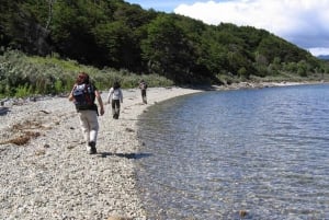 Ushuaia: Tierra del Fuego National Park Tour