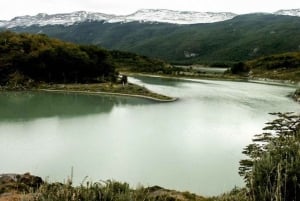 Ushuaia: Tierra del Fuego National Park Tour