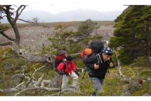 Ushuaia: Tierra del Fuego National Park Tour