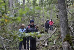 Ushuaia: Trekking i spływ kajakowy po Ziemi Ognistej