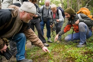 Ushuaia: Trekking i spływ kajakowy po Ziemi Ognistej