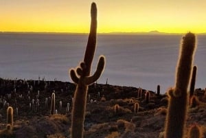 Uyuni: 1-Day Salt Flats and Desert Adventure Tour