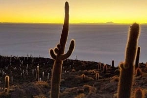 Uyuni: 3-Days Salt Flats and Desert Adventure Tour with Food