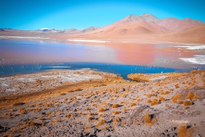 Uyuni: tour guidato di 3 giorni delle saline e del parco nazionale di Avaroa