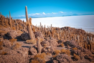 Uyuni: tour guidato di 3 giorni delle saline e del parco nazionale di Avaroa