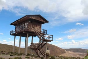 Uyuni Sal Flat: Uyuni - Atacama 3 days | Private | Hotel