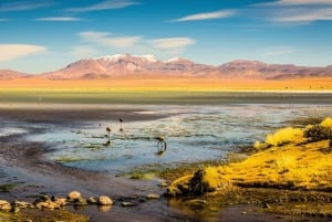 Uyuni: Excursão de 3 dias ao Salar de Uyuni e San Pedro de Atacama