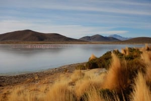 Uyuni Salt flat: from San Pedro de Atacama | 4 days