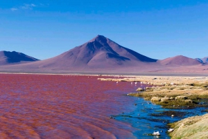 Uyuni Salt Flat: From Tupiza | 4 days | Private | Hotel