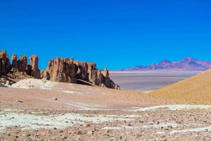 Uyuni Salt Flat: Von Uyuni - Atacama 3 Tage