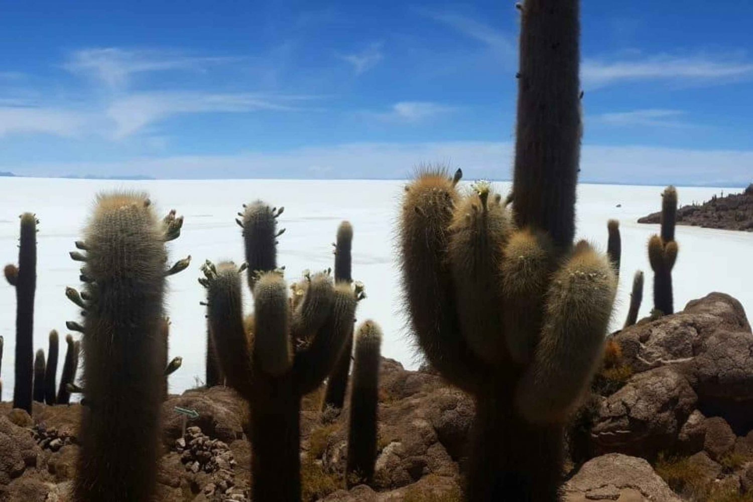 Uyuni zoutvlakte Privéreis vanuit Chili in hostels