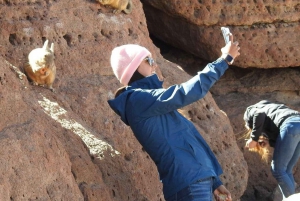 Excursión al Salar de Uyuni desde San Pedro de Atacama 3D/2N+Hostal