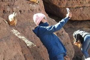 Uyuni Salt Flat Tour ab San Pedro de Atacama 3D/2N+Hostal