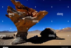 Uyuni Salt Flats (3 days) English-speaking guide