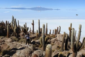 Uyuni: Uyuni Salt Flats and San Pedro de Atacama 3-Day Tour